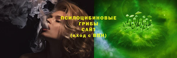 PSILOCYBIN Краснослободск